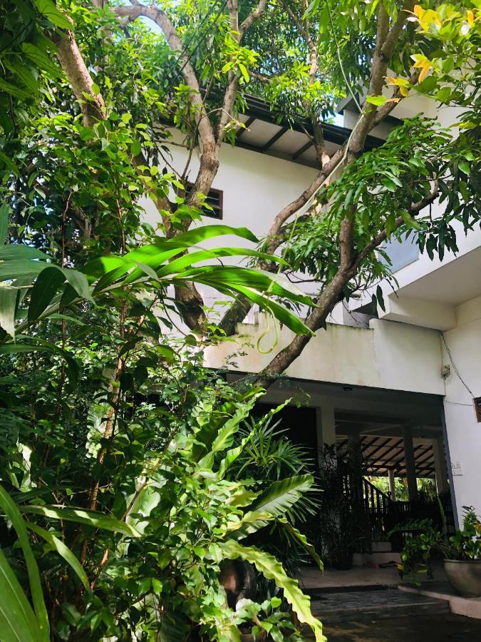 Tinara River Inn, فيليغاما المظهر الخارجي الصورة